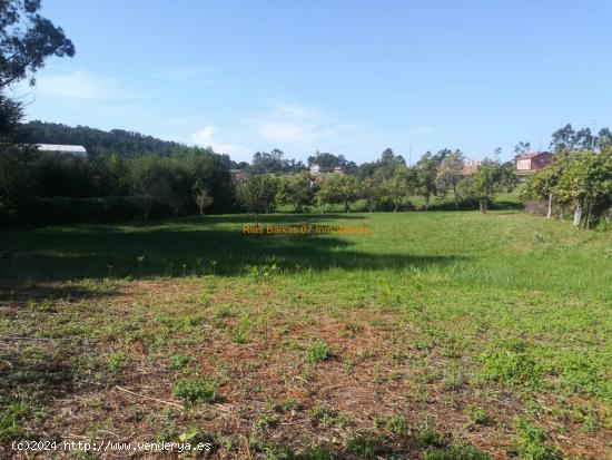  REF 2601 TERRENO RUSTICO IDEAL PARA ANIMALES (VIGO) - PONTEVEDRA 