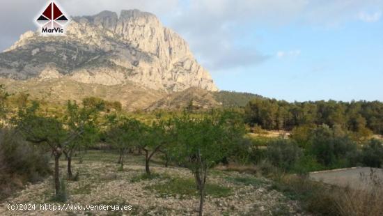  Parcela en Finestrat - ALICANTE 