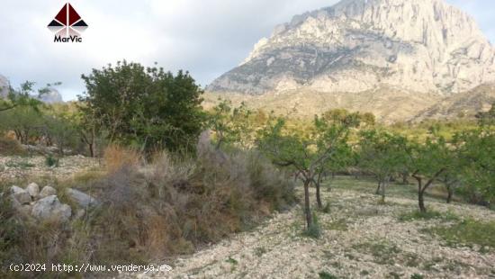 Parcela en Finestrat - ALICANTE