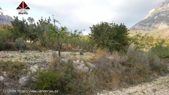 Parcela en Finestrat - ALICANTE