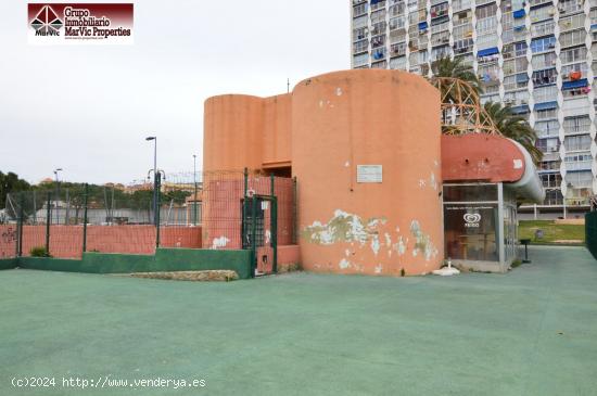  Local comercial en Benidorm en zona Juzgados - ALICANTE 