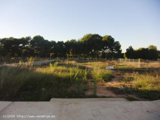  Parcela en primera linea del campo de golf Escorpion - VALENCIA 