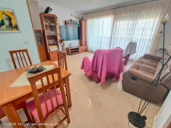 Apartamento en venta en Torrevieja (Alicante)