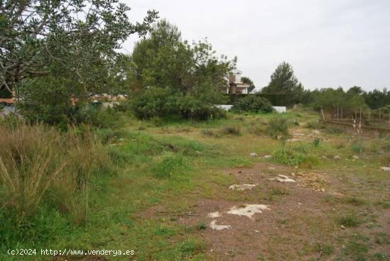  PARCELA COLINDANTE CON EL PARQUE NATURAL SAN VICENTE LLIRIA - VALENCIA 