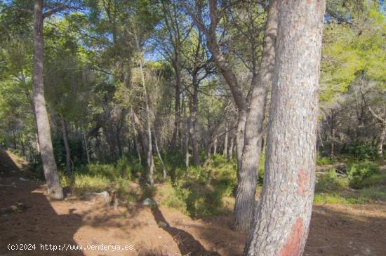  Parcela en Calpe zona Empedrola - ALICANTE 