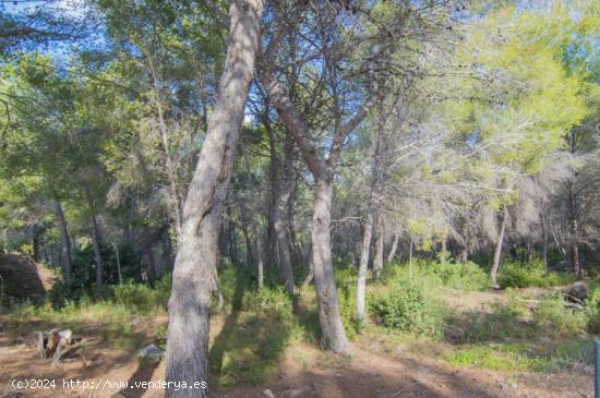 Parcela en Calpe zona Empedrola - ALICANTE