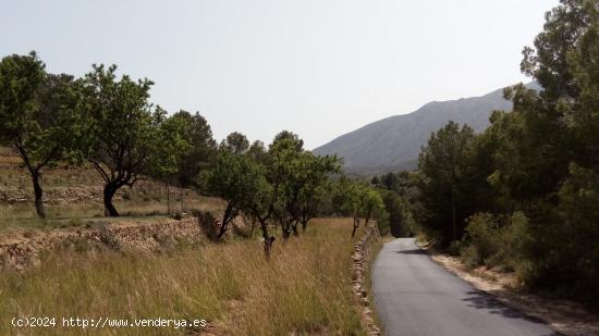 Parcela en Benissa partida Viniyent - ALICANTE