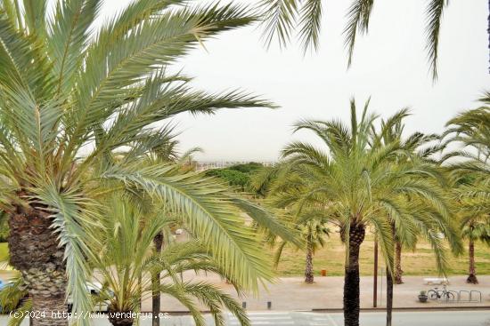 RESTAURANTE EN EL PASEO MARITIMO - BARCELONA