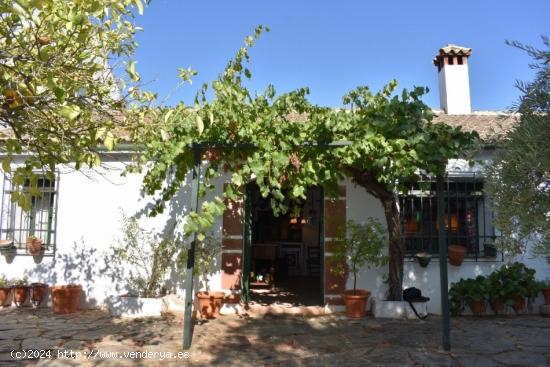 FANTASTICA FINCA RUSTICA EN MONTORO, CORDOBA - CORDOBA