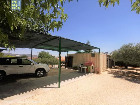 PEQUEÑO REFUGIO CON POSIBILIDADES - VALENCIA