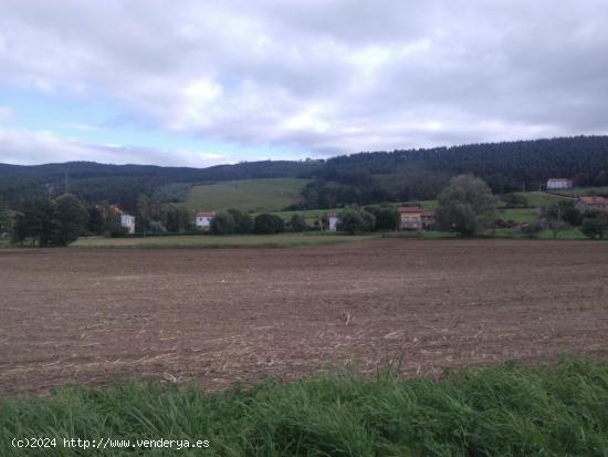  TERRENO EN GÜEMES - CANTABRIA 