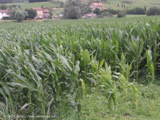 TERRENO EN GÜEMES - CANTABRIA