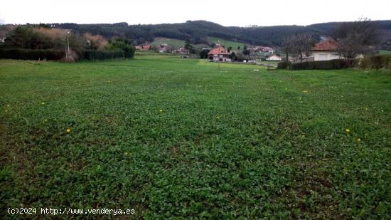  LO QUE ESTABAS BUSCANDO TIENE UN NOMBRE....GÜEMES - CANTABRIA 