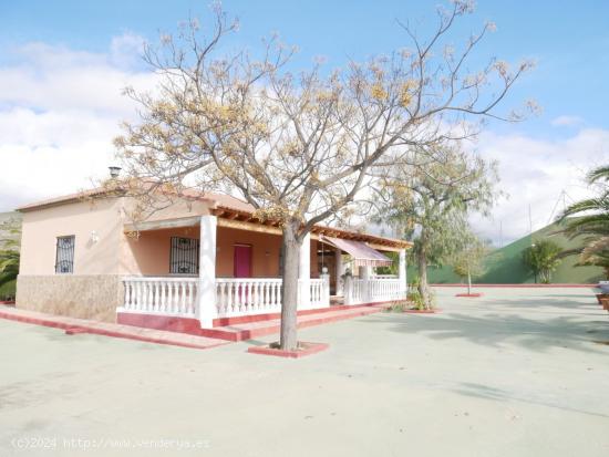  CASA DE CAMPO CON PISTA DE FRONTÓN, PISCINA Y MÁS DE 12000 METROS DE TERRENO EN SAX - ALICANTE 