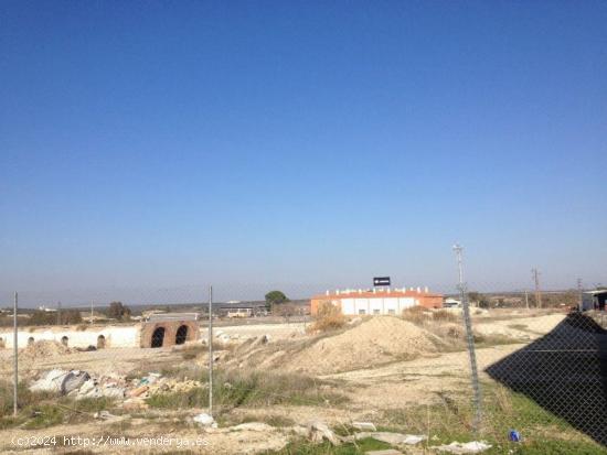 TERRENO EN MARCHENA, CARRETERA DE LA PUEBLA - SEVILLA