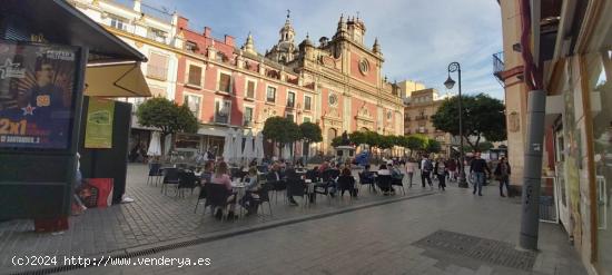  Magnífico edificio en pleno centro de Sevilla, se encuentra en una de las principales calle comerci 