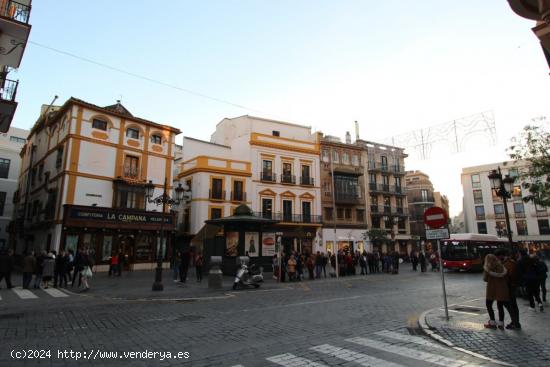 Magnífico edificio en pleno centro de Sevilla, se encuentra en una de las principales calle comerci