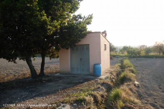  Terreno en El Llombo - Ontinyent - VALENCIA 