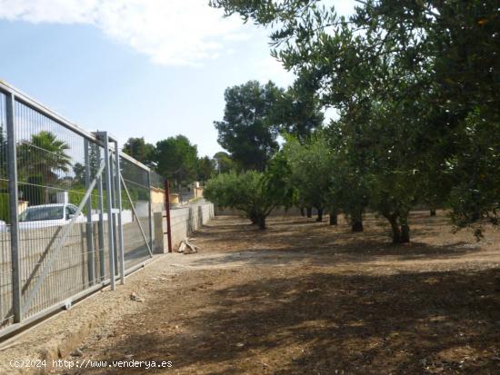  Terreno en zona Santa Ana-Ontinyent - VALENCIA 