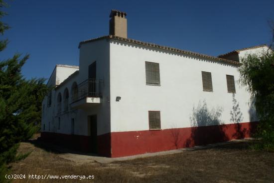  Finca La Farola Ontinyent - VALENCIA 