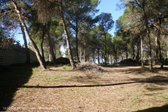 Terreno en Garrofer de L'Hora - Ontinyent - VALENCIA