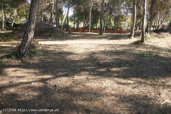 Terreno en Garrofer de L'Hora - Ontinyent - VALENCIA