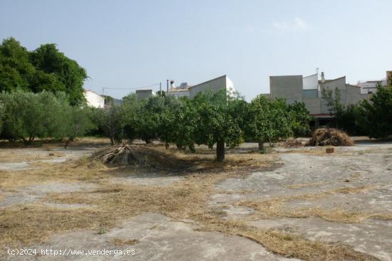 Se Vende en L'Olleria - VALENCIA