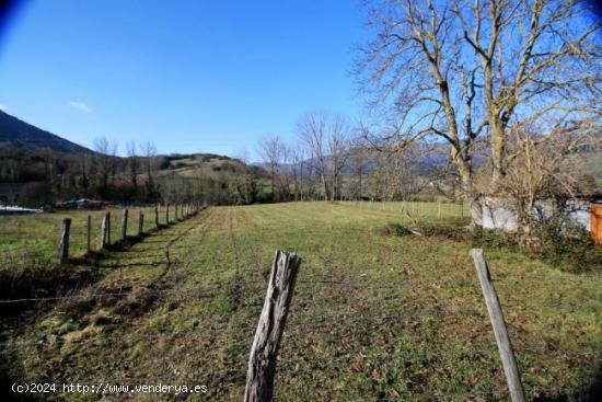  TERRENO EN NAVA DE ORDUNTE - BURGOS 