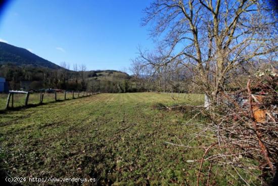 TERRENO EN NAVA DE ORDUNTE - BURGOS