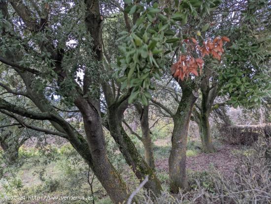  Venta de parcela en Ayegui ( Iratxe) - NAVARRA 