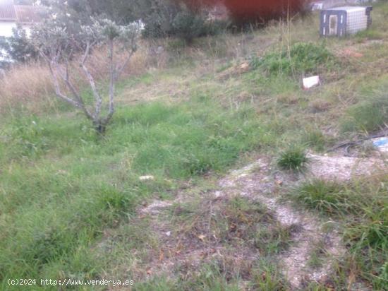 TERRENO EN BARONIA DE MAR - TARRAGONA