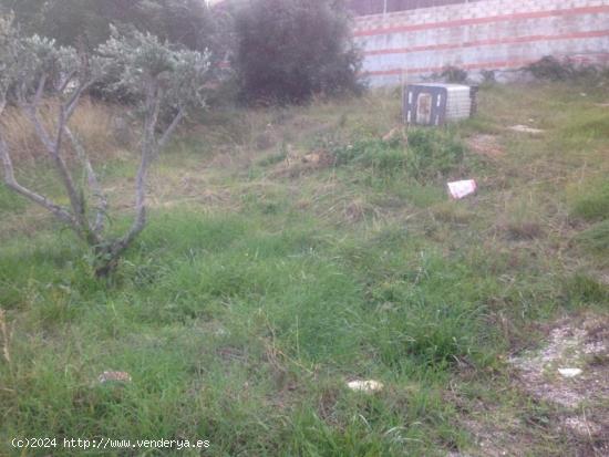 TERRENO EN BARONIA DE MAR - TARRAGONA