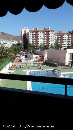 Los Cristianos Piso 2 habitaciones a 300 metros del mar en urbanizacion cerrada - SANTA CRUZ DE TENE