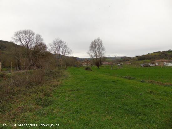  Terreno rustico en Lloreda de Cayon - CANTABRIA 