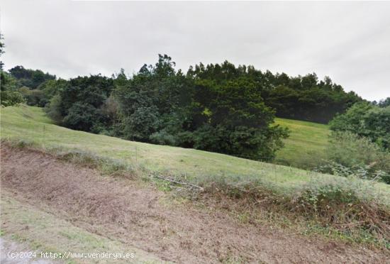 Terreno rustico en Santa Maria de Cayon - CANTABRIA