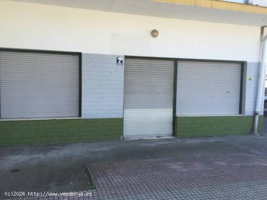 LOCAL COMERCIAL COLINDRES CENTRO - CANTABRIA