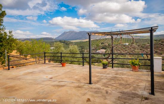 VENTA DE FINCA RUSTICA EN LA ZONA DE LA SIERRA DEL TORCAL - MALAGA