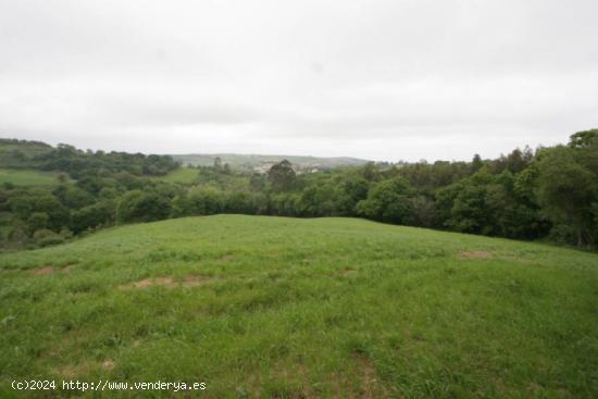 TERRENO RÚSTICO EN VALDÁLIGA - CANTABRIA