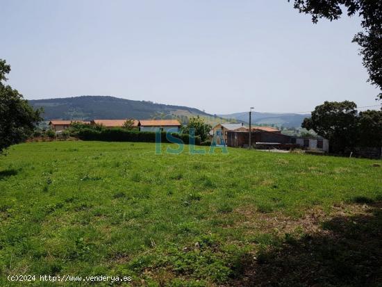 Terreno Urbano de 5.200 m2 en Arnuero a pocos km de las playas de Isla y Noja - CANTABRIA