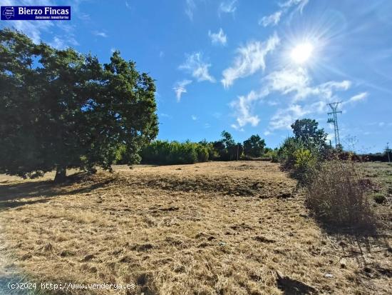 SE VENDE FINCA URBANA EN CUBILLOS (POSADINA) - LEON