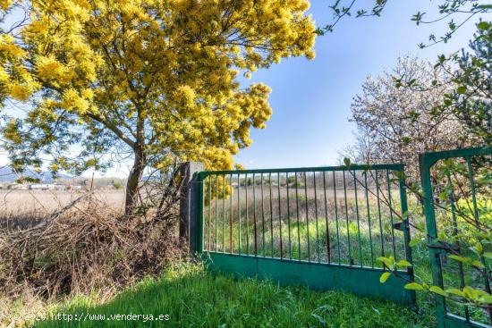 FINCA DE 18.270 M2 EN CACABELOS - LEON