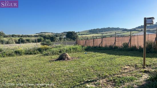  TERRENO RUSTICO EN PATERNILLA - CADIZ 