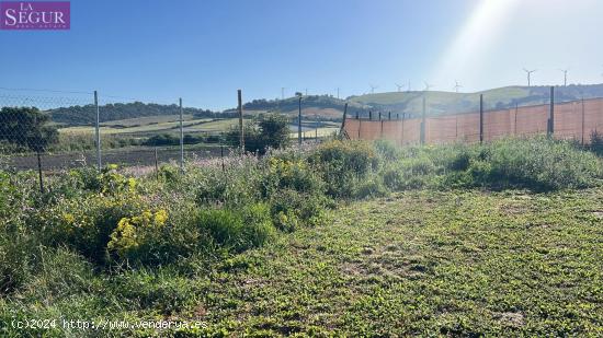 TERRENO RUSTICO EN PATERNILLA - CADIZ