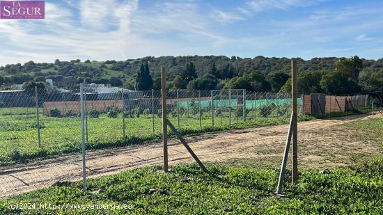 TERRENO RUSTICO EN PATERNILLA - CADIZ