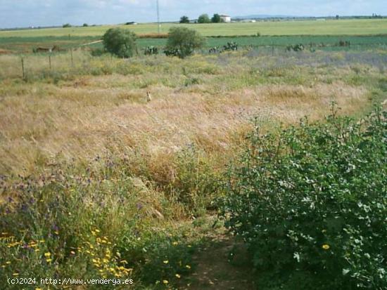 Parcela de 2ª mano en venta - BADAJOZ