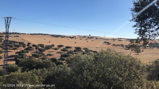  FINCA EN VALVERDE DE LEGANES - BADAJOZ 