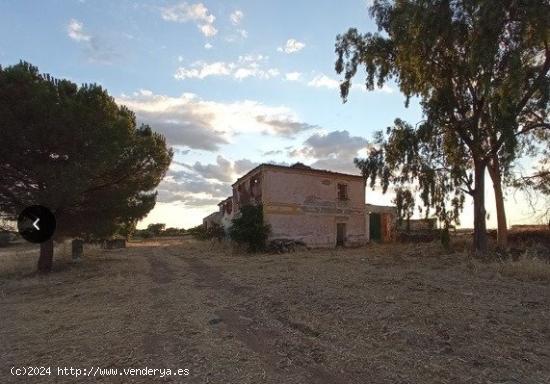  SE VENDE FINCA EN ZAFRA - BADAJOZ 