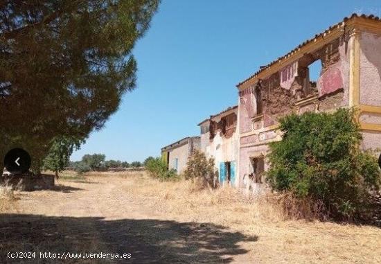 SE VENDE FINCA EN ZAFRA - BADAJOZ