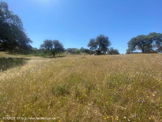  VENTA PARCELA CAMPOMANES - BADAJOZ 