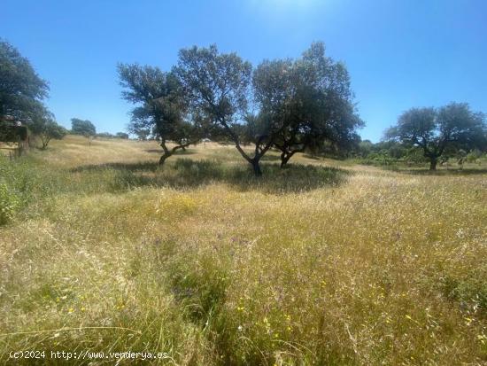 VENTA PARCELA CAMPOMANES - BADAJOZ